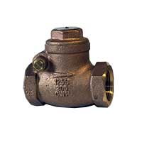 Check Swing Valve